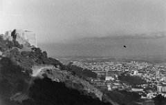 ORAN 02515